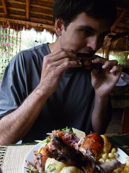 eating the cuy eating the cuy