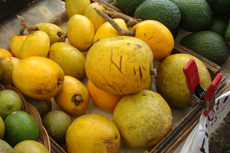 Egg Fruit - Fruit of Hawaii