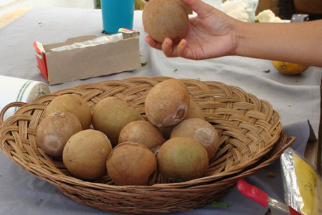 Sapodilla - Fruit of Hawaii
