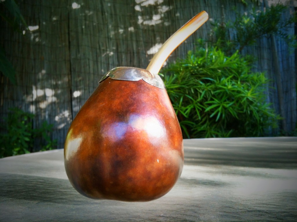 yerba-mate-101-ever-in-transit