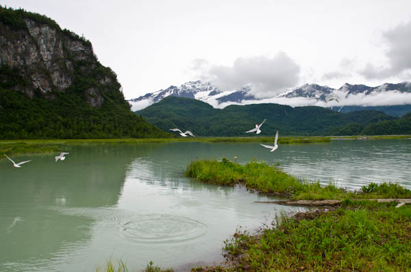 Near Wolverine Creek, Alaska Near Wolverine Creek, Alaska