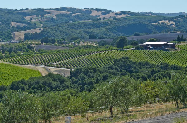 kiler-ridge-olive-oil-tasting-paso-robles kiler-ridge-olive-oil-tasting-paso-robles