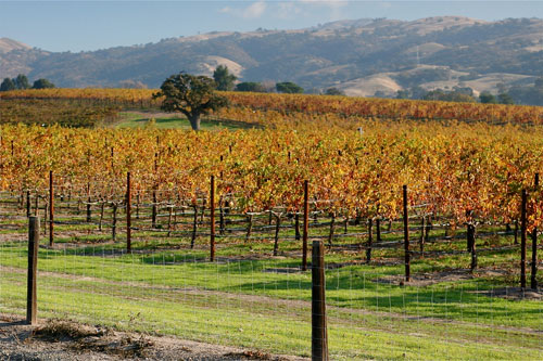 Livermore Valley Wine Region Livermore Valley Wine Region