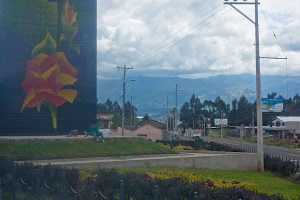 long-stem-roses-ecuador-5 long-stem-roses-ecuador-5