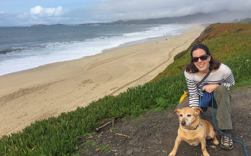 Dog Day & Donuts in Half Moon Bay, CA