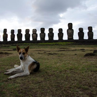 Easter Island: Day By Day