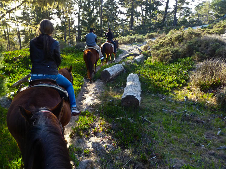 Overcoming My Fears A Pebble Beach Horseback Riding Trip Ever In Going Horseback Riding On Pebble Beach A Tour