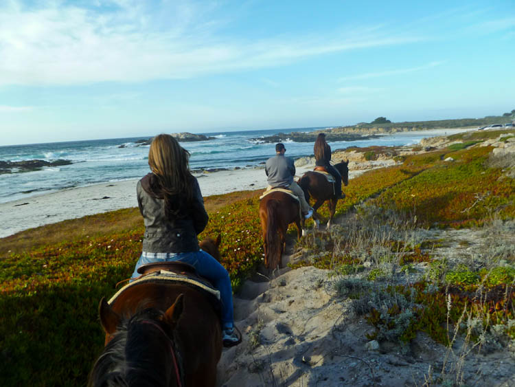 Overcoming My Fears A Pebble Beach Horseback Riding Trip Ever In Horseback Riding On Pebble Beach