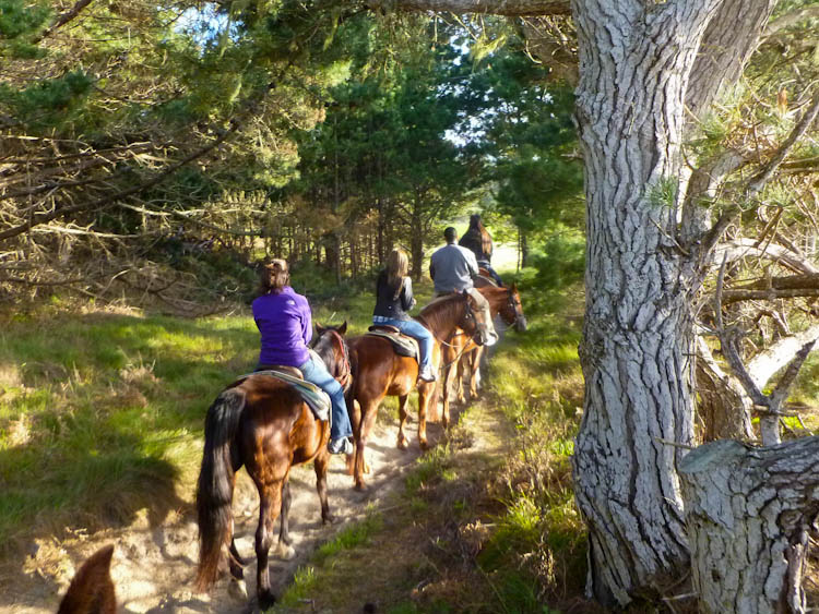 Pebble Beach Horseback Riding The Best Beaches In World Overcoming My Fears A Pebble Beach Horseback Riding Trip Ever In