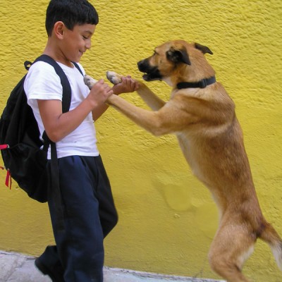 Dancing Dog – Guanajuato, Mexico