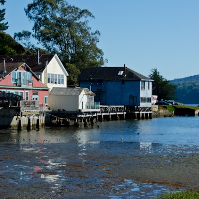 Oyster Hopping in Marin County