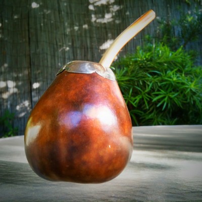 Yerba Mate 101