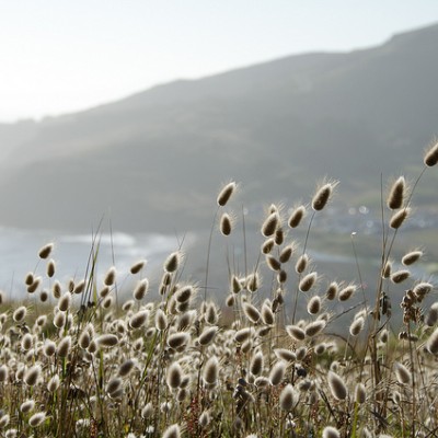 Rodeo Beach – Sausalito, CA