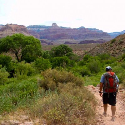 ExOfficio vs. ScotteVest Travel Boxers:  A Ballwicker Showdown