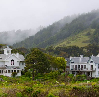 Misty Hills of the Mendocino Coast
