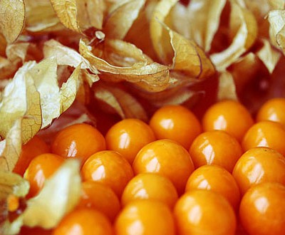Our Top 10 Food Adventures from 2012!