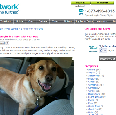 Tips for Staying in a Hotel With Your Dog: Find Us at FlightNetwork
