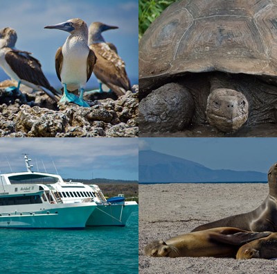 Photographic Guide to the Galapagos