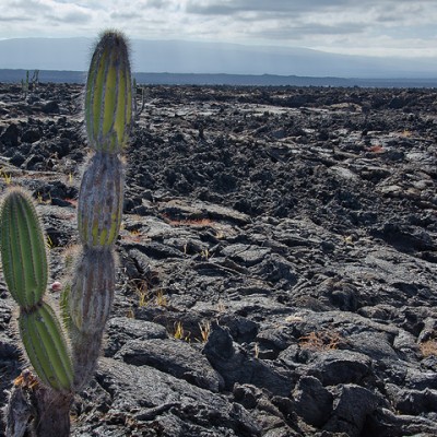 Guide to Galapagos Landscapes