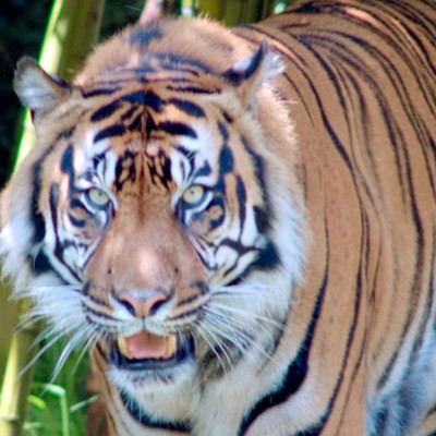 Why Ecotourism is More Important than Ever