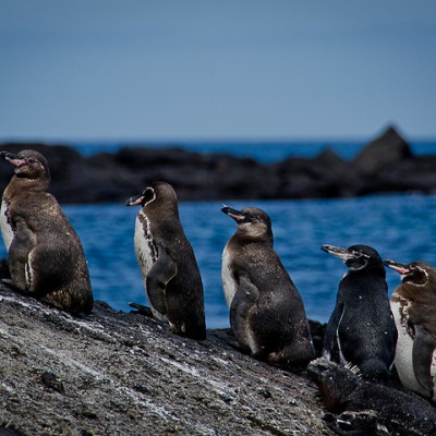 How to Embarrass Your Wife at a Travel Blog Conference