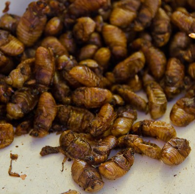 Vegetarian, But for Bacon and Bugs