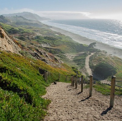 Fort Funston: San Francisco’s Most Beautiful Dog Beach