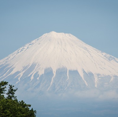Strawberries, Shibas, Fuji-San, and the Nicest Highway Rest Stop in The World