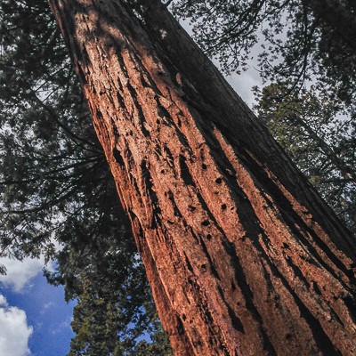 Exploring Yosemite’s South Gate