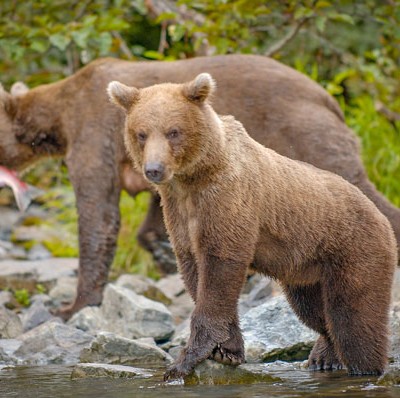 A Photo Tour of Alaska