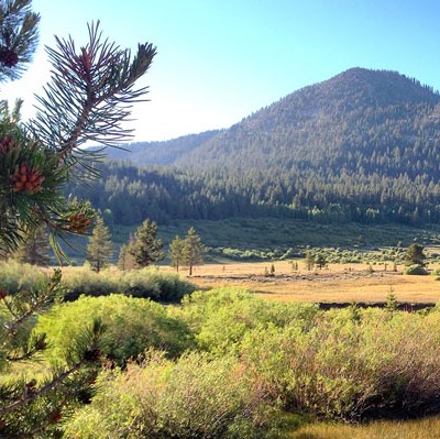 A Summer Camping Checklist
