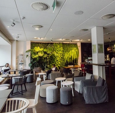 A Green Place To Stay in Amsterdam