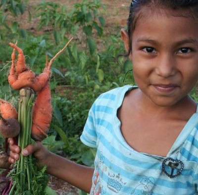 Passports With Purpose 2014: Win Travel Prizes & Promote Sustainable Farming in Honduras