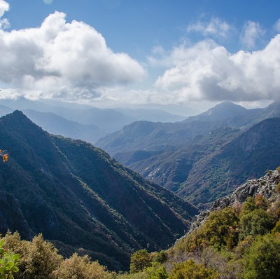 Visiting Yosemite, Sequoia & Kings Canyon National Parks: A California Road Trip