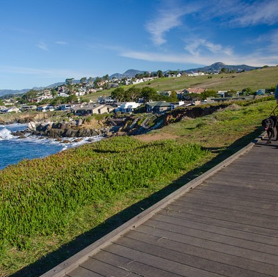 A Dog-Friendly Guide To The Central Coast