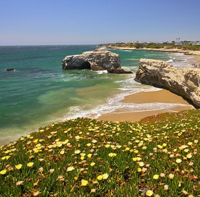 My Top Places To Eat & Drink in Santa Cruz, CA