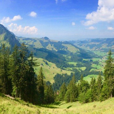 Making Real Swiss Cheese and a Hike Through the Swiss Alps