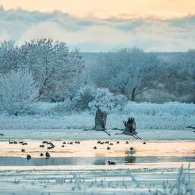 A Winter Photography Packing List