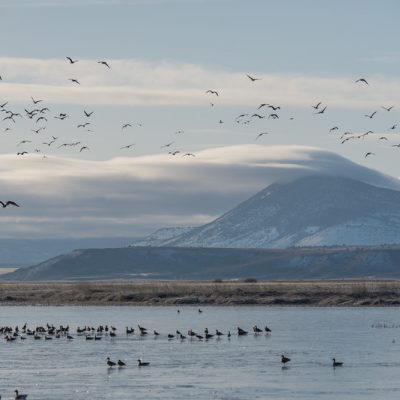 A Wildlife Weekend in Klamath Falls, Oregon